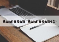 重庆软件开发公司（重庆软件开发公司小型）